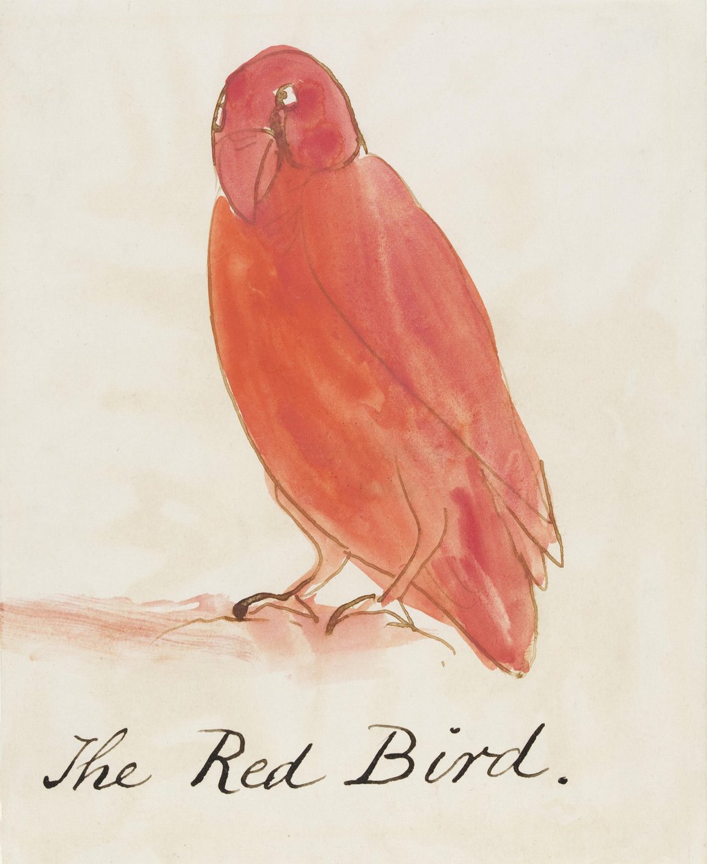 O Pássaro Vermelho, dos Dezesseis Desenhos das Aves Comic (caneta e tinta wc no papel) de Edward Lear