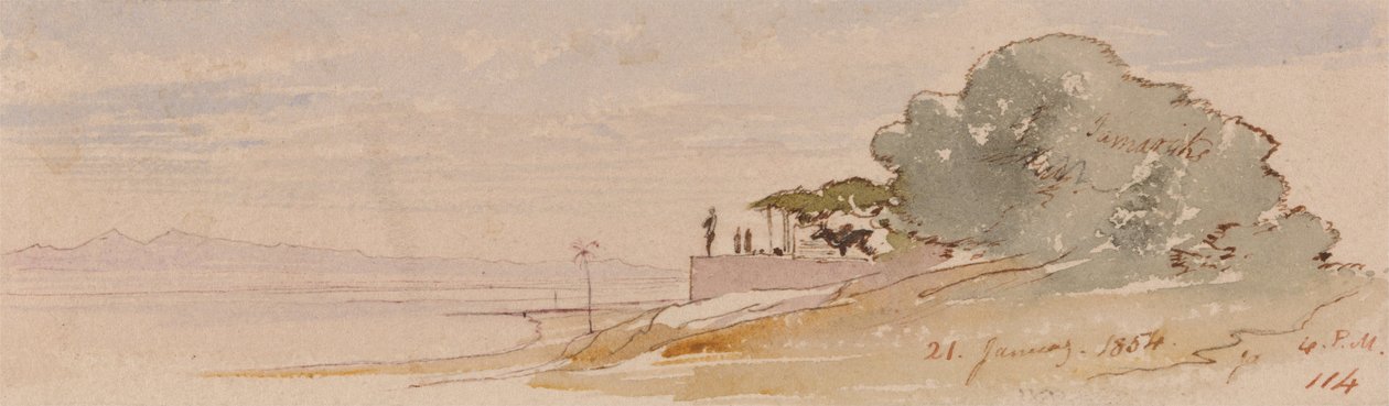 Tebas de Edward Lear