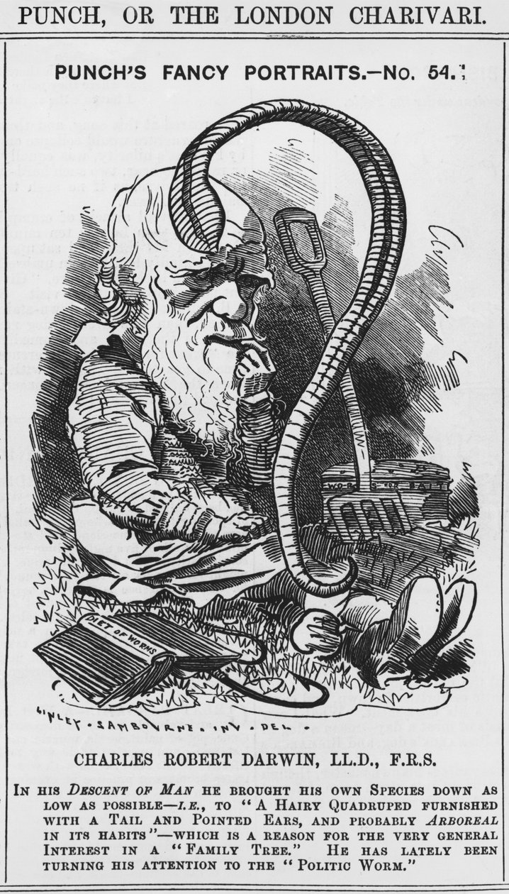 Charles Darwin, retratos chiques de Punch, No 54, ilustração de 