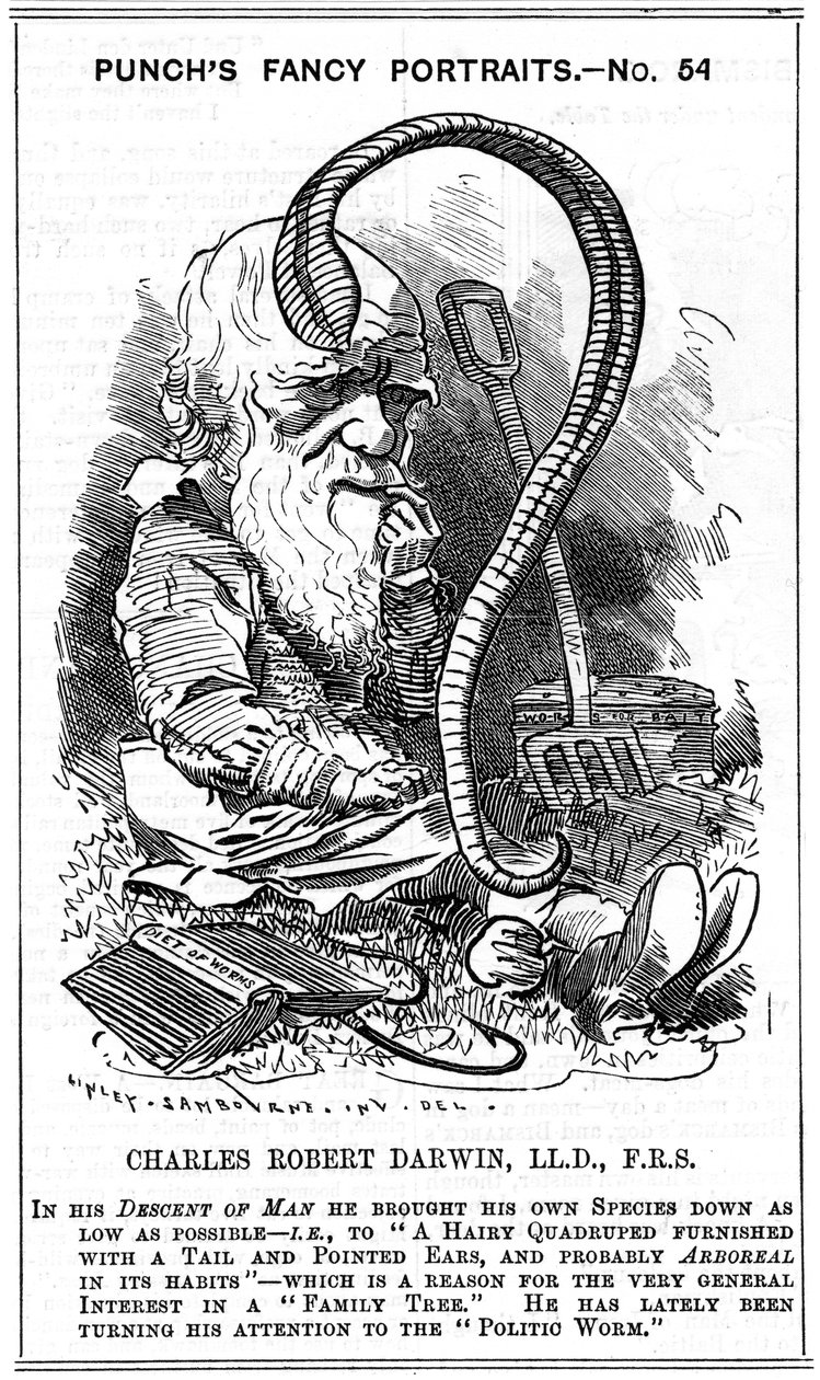 Charles Darwin, naturalista inglês, 1881 de Edward Linley Sambourne