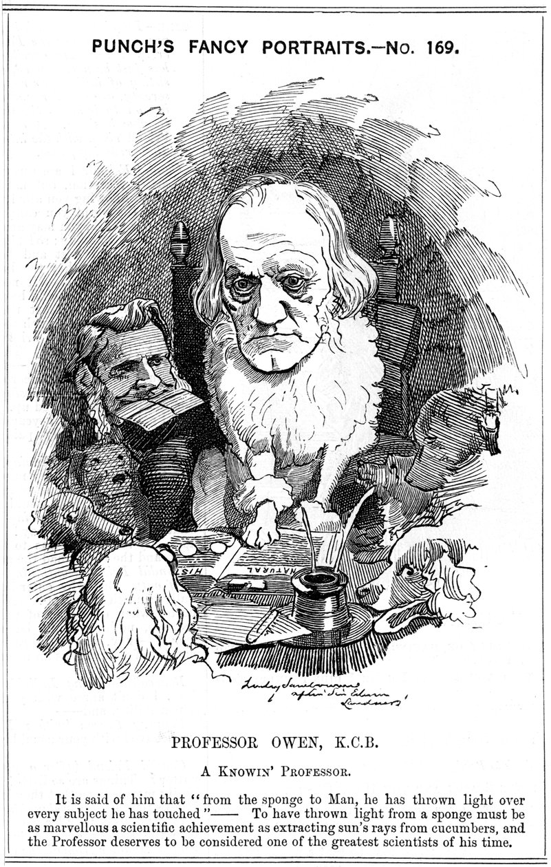 Richard Owen, zoólogo inglês, 1884 de Edward Linley Sambourne