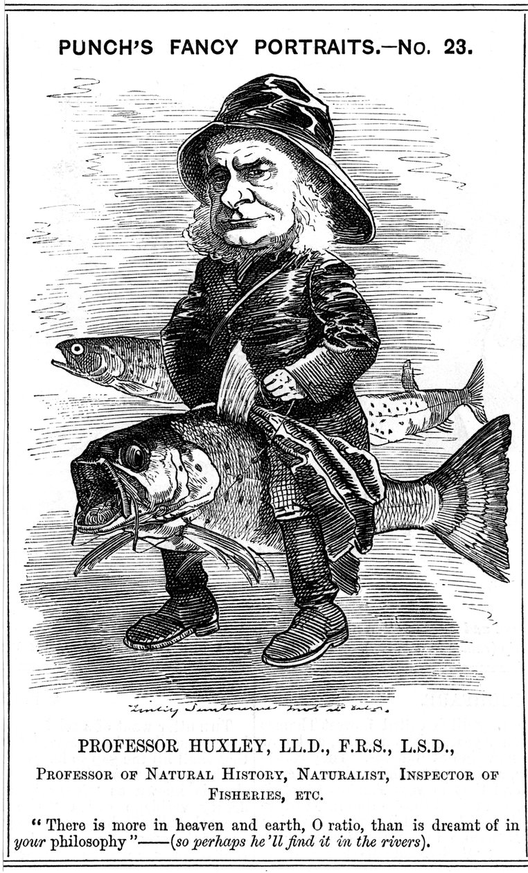 Thomas Henry Huxley, biólogo inglês, 1881 de Edward Linley Sambourne