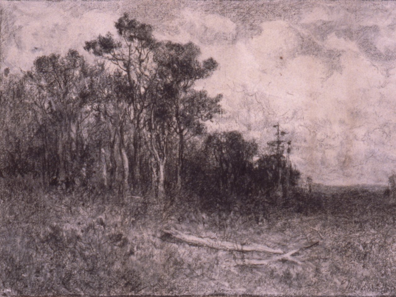Paisagem, Cena de bosque de Edward Mitchell Bannister