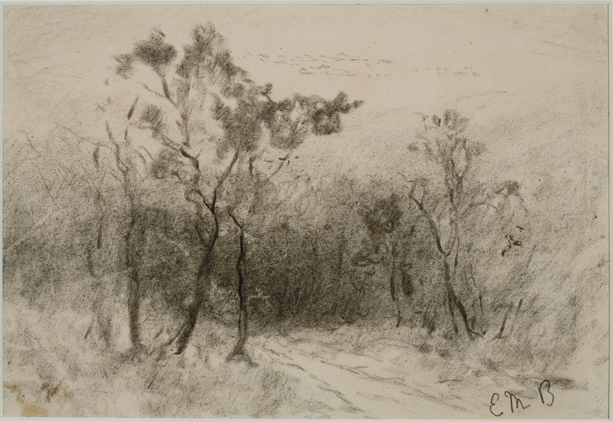 Paisagem com Caminho (#51), c. 1880 (carvão sobre papel) de Edward Mitchell Bannister