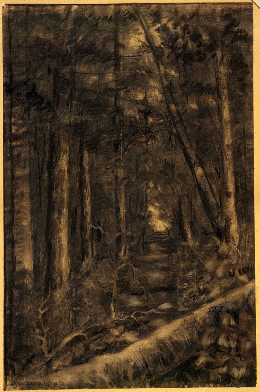 Paisagem com caminho através da floresta de Edward Mitchell Bannister