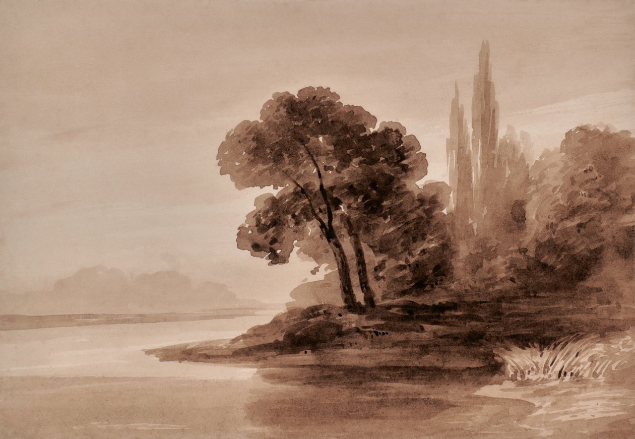 Paisagem com árvores de Edward Pretty