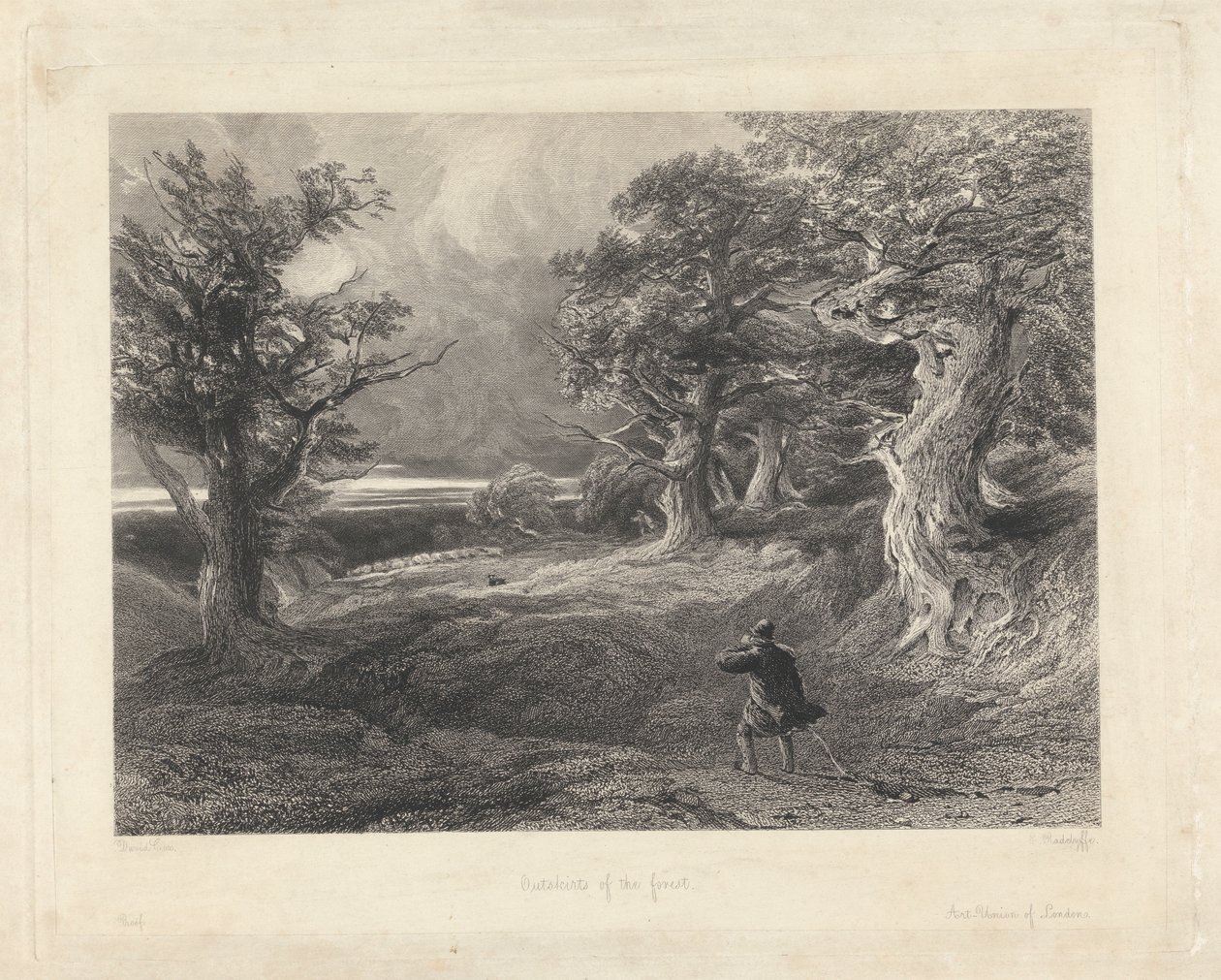 Exterior da floresta de Edward Radclyffe