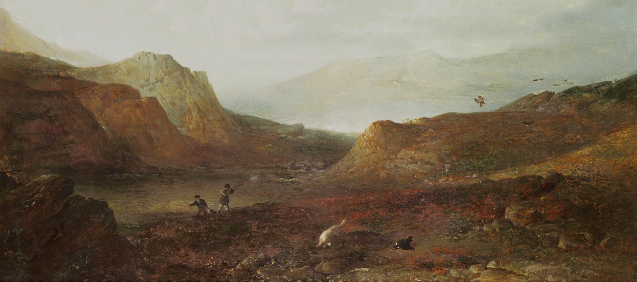 Tiro do galo silvestre - um pássaro alto de Edward Robert Smythe
