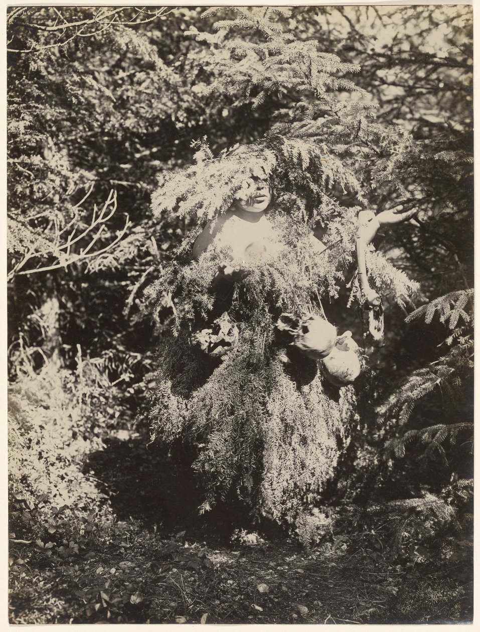 [Dançarino Fantasma - Kwakiutl] de Edward S. Curtis