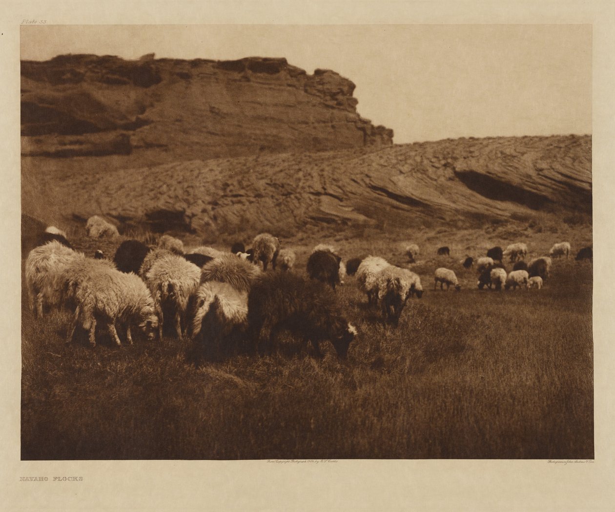 [Rebanhos navajos] de Edward S. Curtis