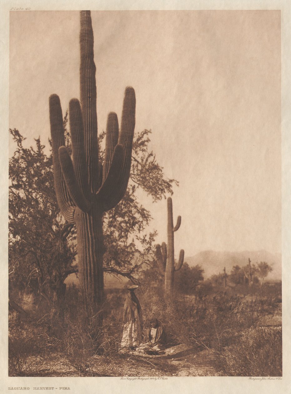 Portfolio II, Placas 40-75 de Edward S. Curtis