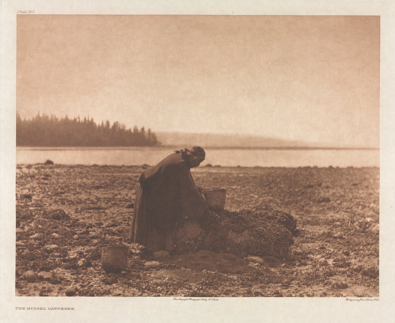 Portfólio IX, Placa 313: O Coletor de Mexilhões de Edward S. Curtis
