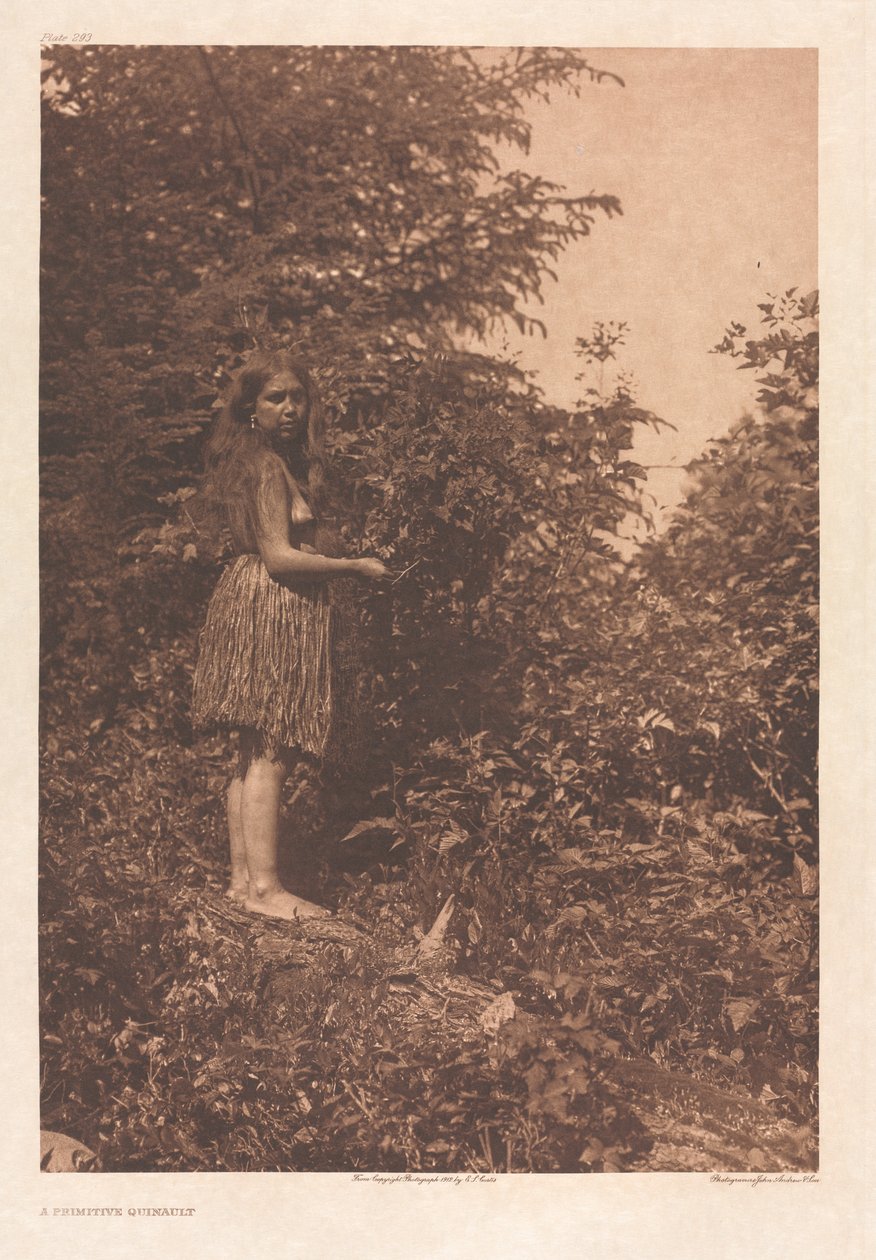 Carteira IX, Placas 293-328 de Edward S. Curtis