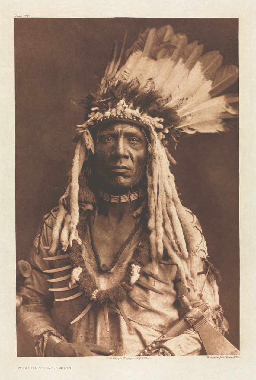 Portfólio VI, Placa 203: Cauda de Doninha - Piegan de Edward S. Curtis