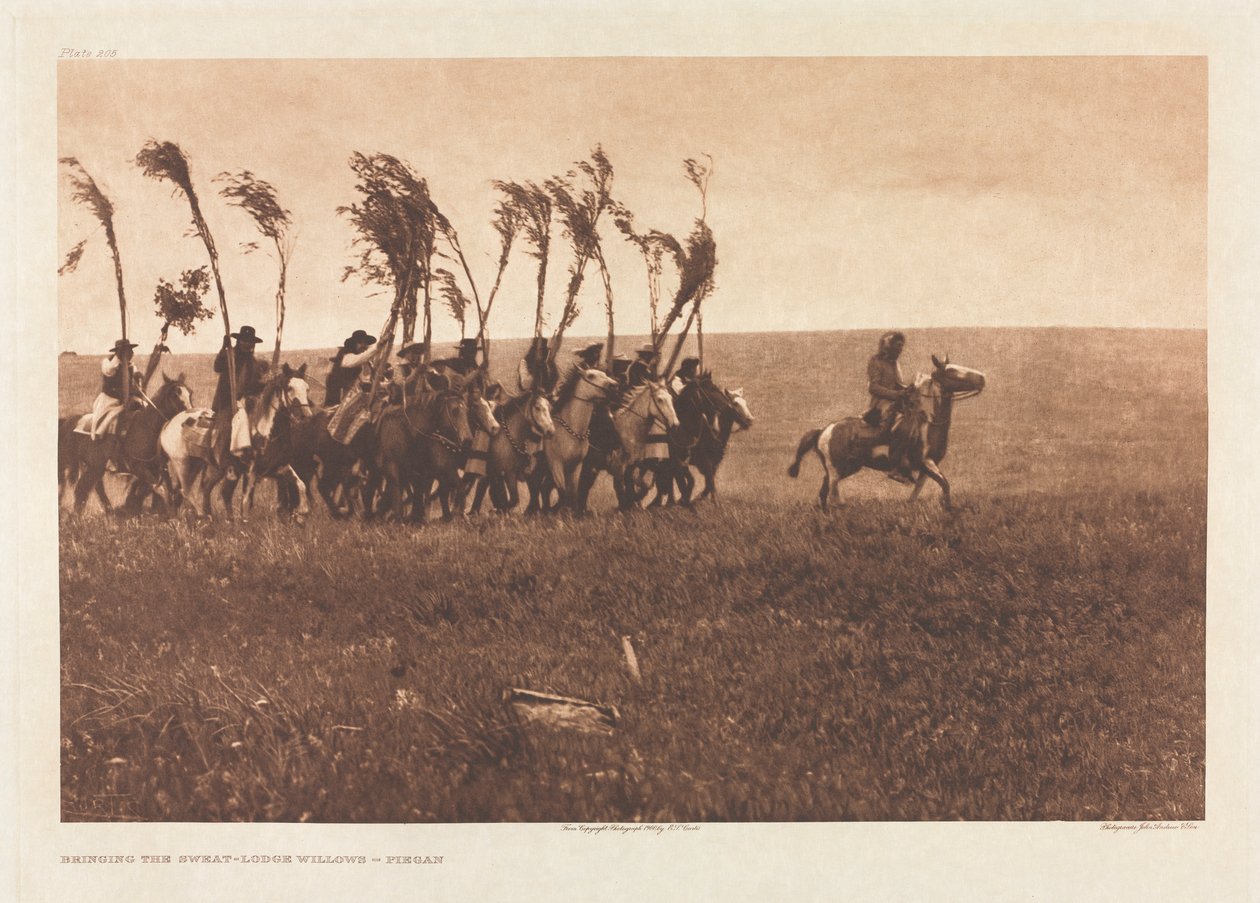 Portfólio VI, Placa 205: Trazendo os Salgueiros da Loja de Suor - Piegan de Edward S. Curtis