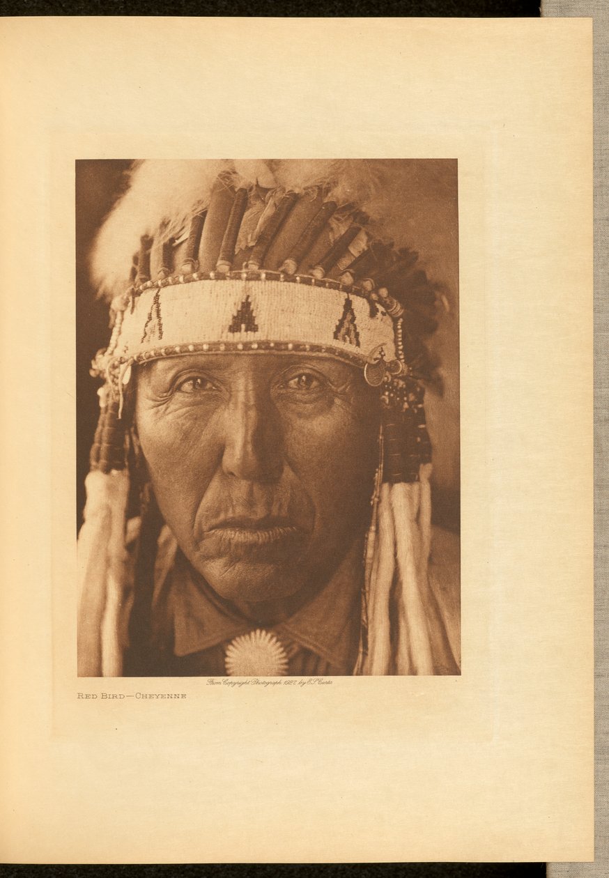 Pássaro vermelho - Cheyenne de Edward S. Curtis