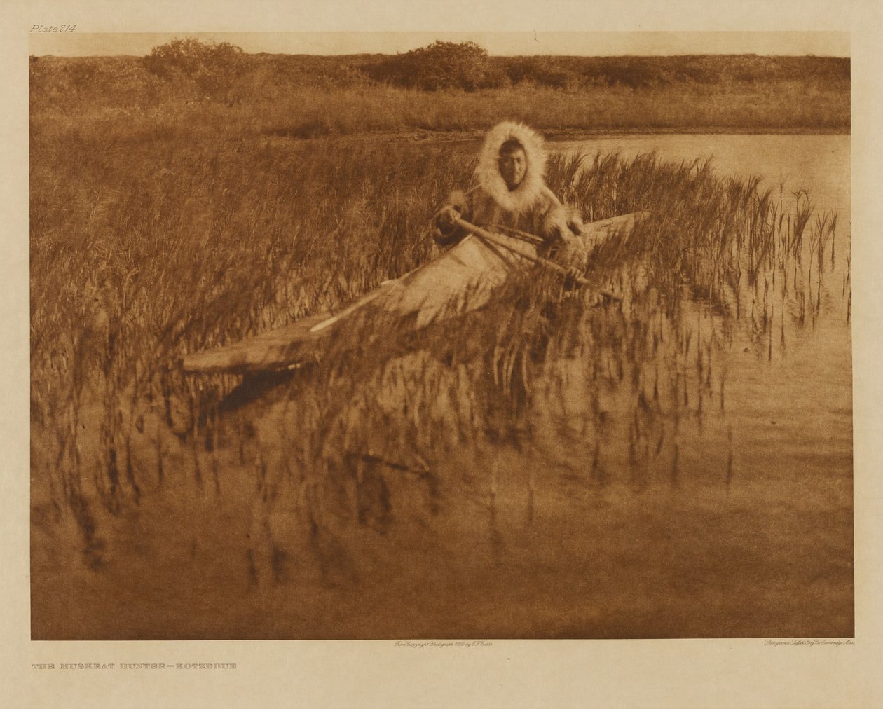 O caçador de ratos-almiscarados - Kotzebue de Edward S. Curtis