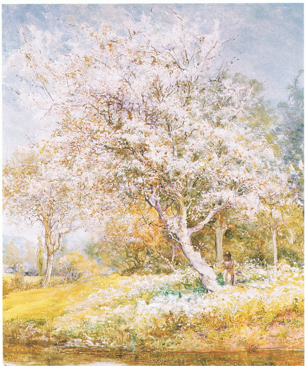 Recolha de flores, de revista ou livro de fonte desconhecida (cor litho) de Edward Samuel Harper
