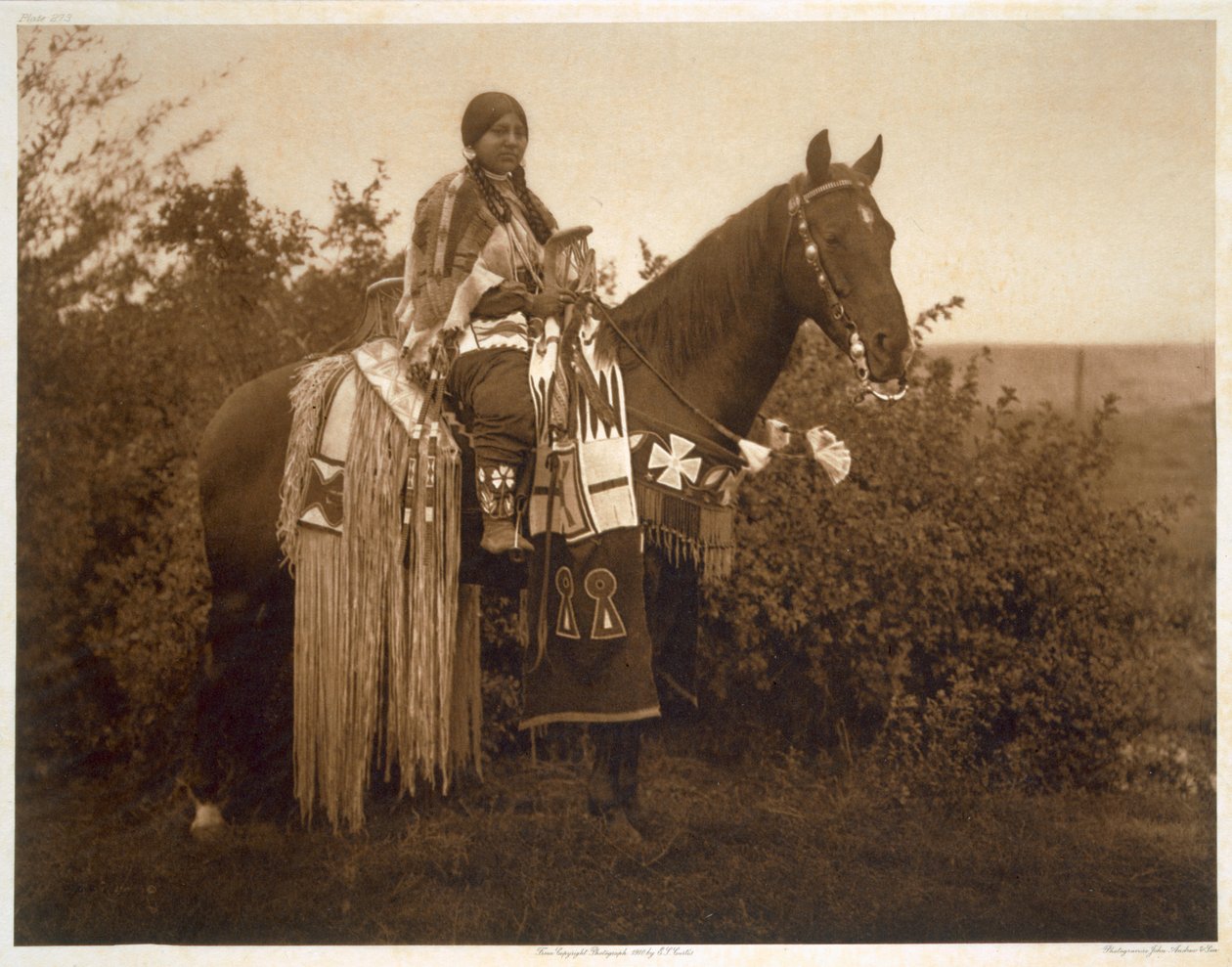 Puleiros de férias - Cayuse de Edward Sheriff (after) Curtis