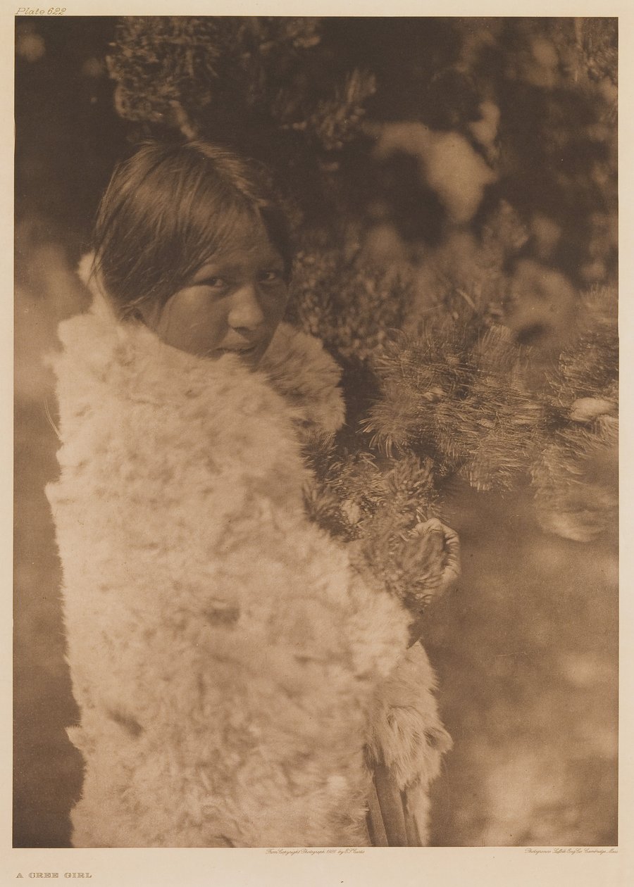 Uma rapariga Cree de Edward Sheriff Curtis