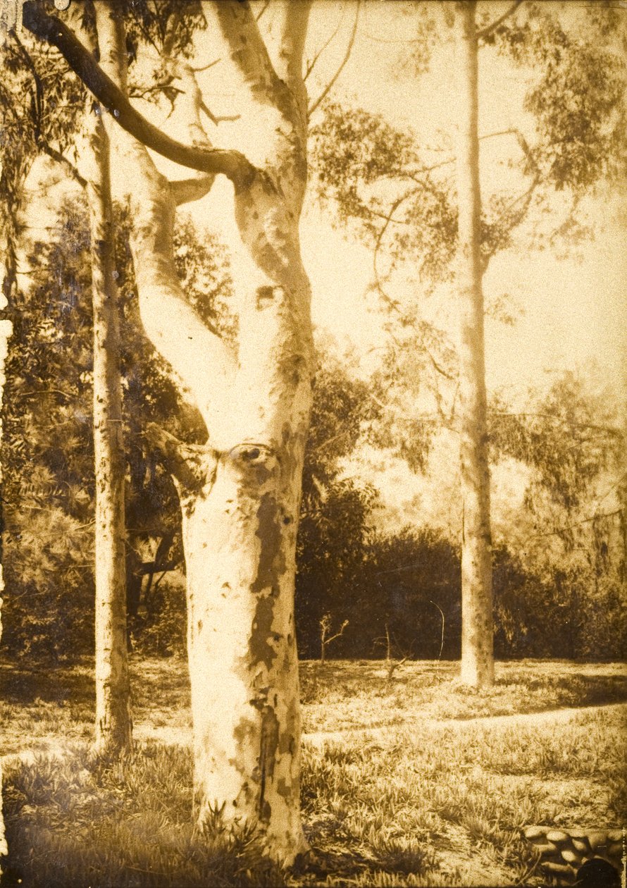 Auf dem Bauernhof, Seattle, Washington de Edward Sheriff Curtis
