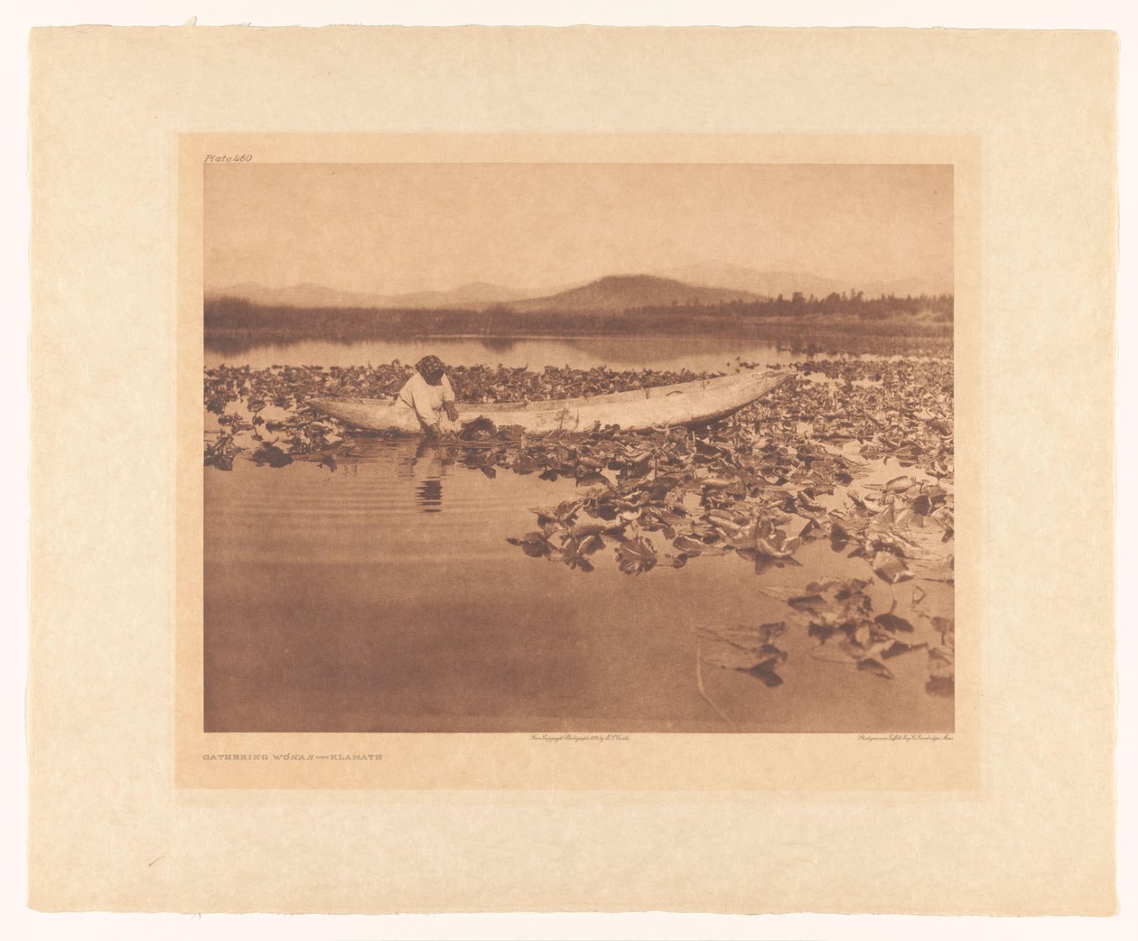 Recolha de wokas - Klamath de Edward Sheriff Curtis