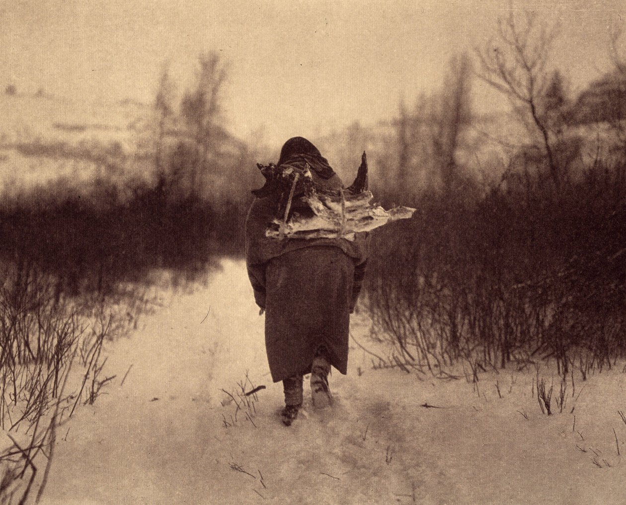 Ir para o acampamento. Um índio apsaroke carregando madeira na neve, num pequeno acampamento de Inverno perto de um riacho nas montanhas Pryor, Montana. Foto tirada do volume 4 da enciclopédia publicada por Edward S. Curtis (1868-1952) sobre os índios da A de Edward Sheriff Curtis
