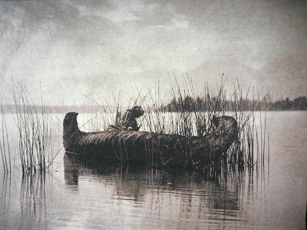 The Rush Gatherer, Montana (foto a p/b) de Edward Sheriff Curtis