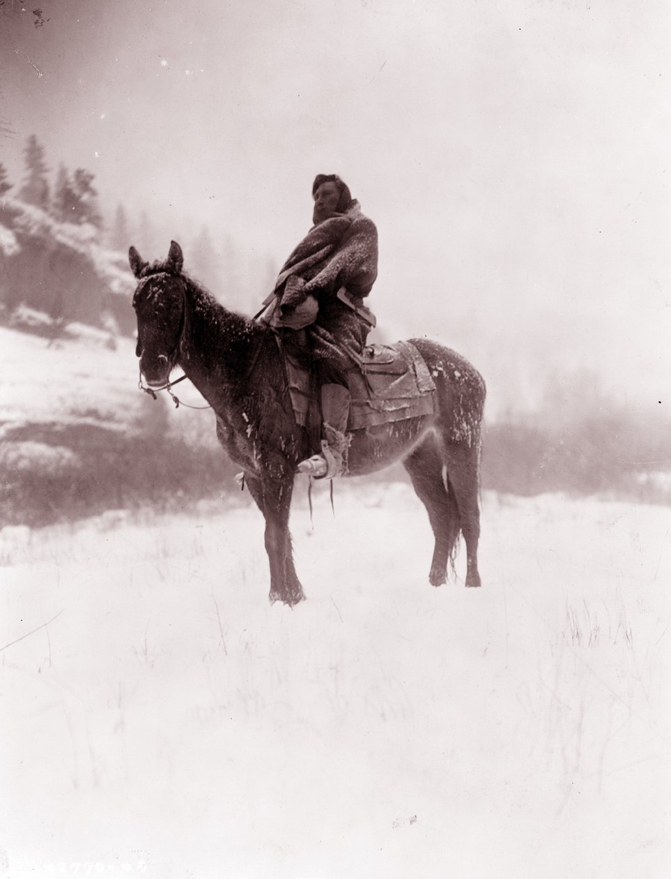 O Escoteiro no Inverno, Apsaroke de Edward Sheriff Curtis