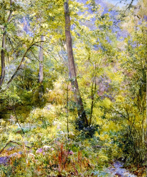 Luz do Sol, Madeira de Sheepscombe de Edward Steel Harper
