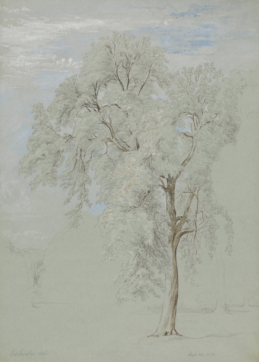 Árvore de cinzas de Edward Swinburne