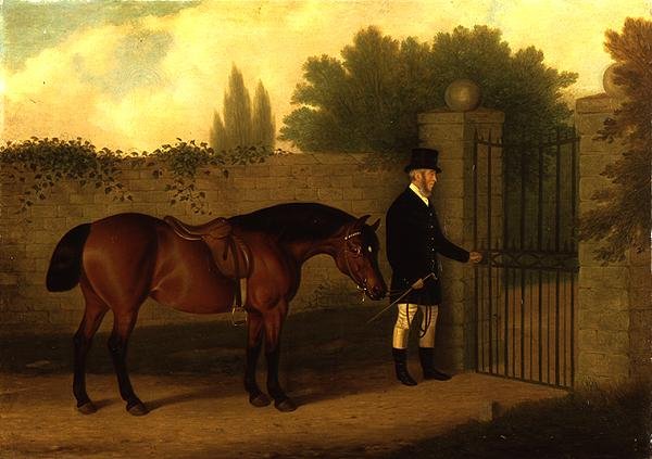 Um cavalheiro conduzindo uma Cob galesa por um portão de jardim de Edward Tolley