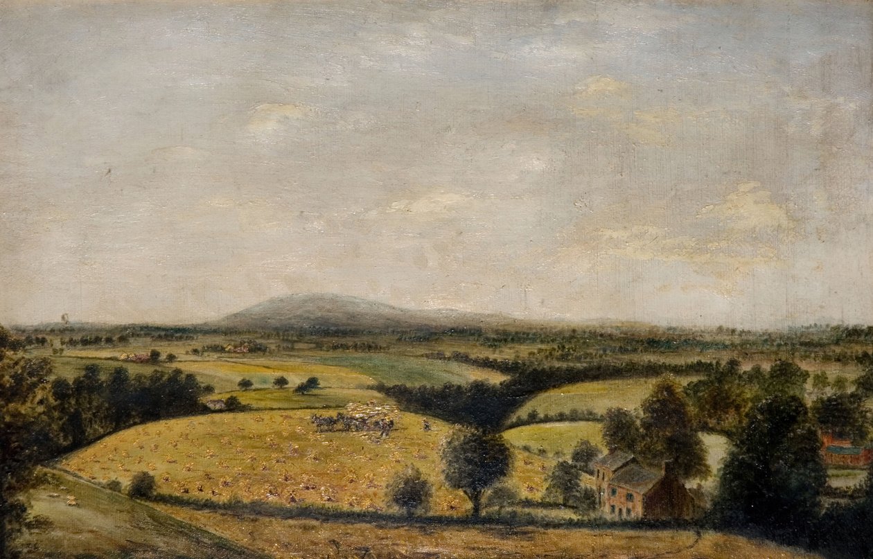 Floresta. de Edward Wilden