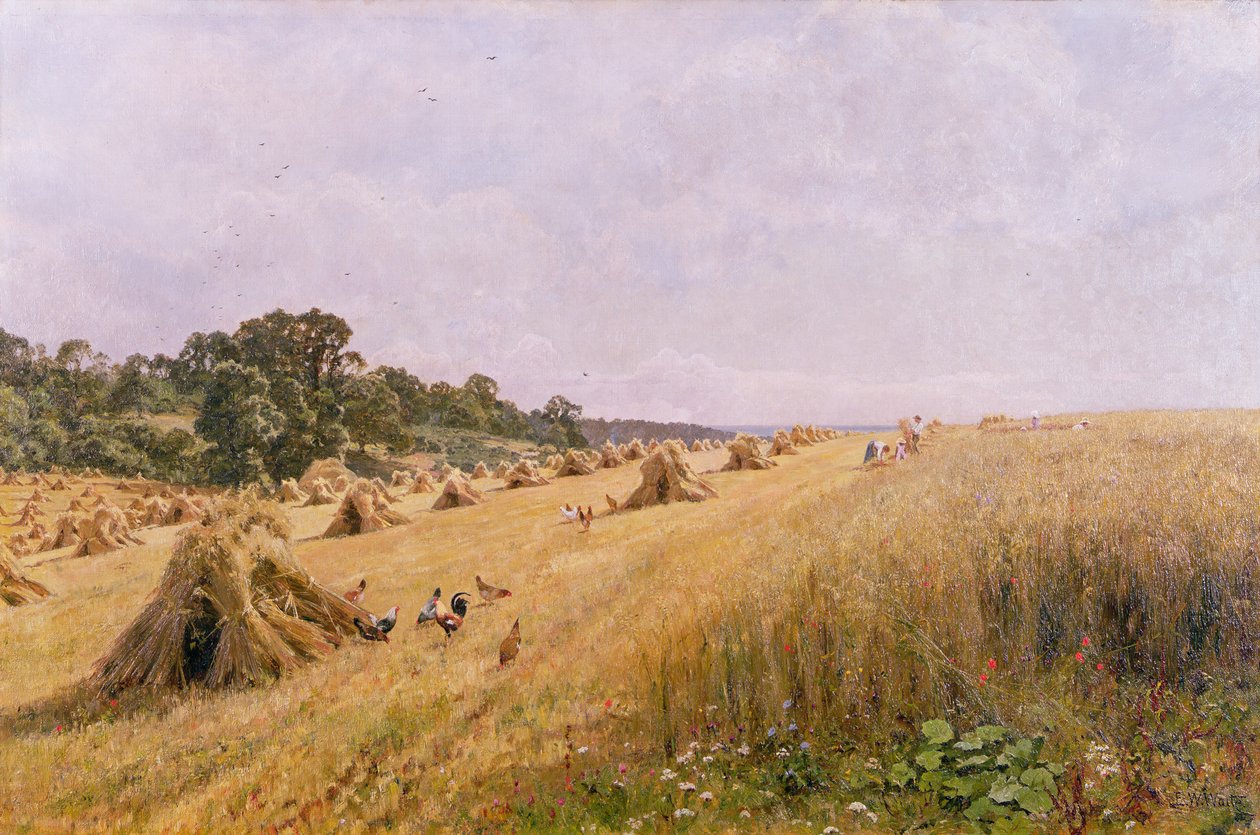 Colheita do Milharal de Edward Wilkins Waite