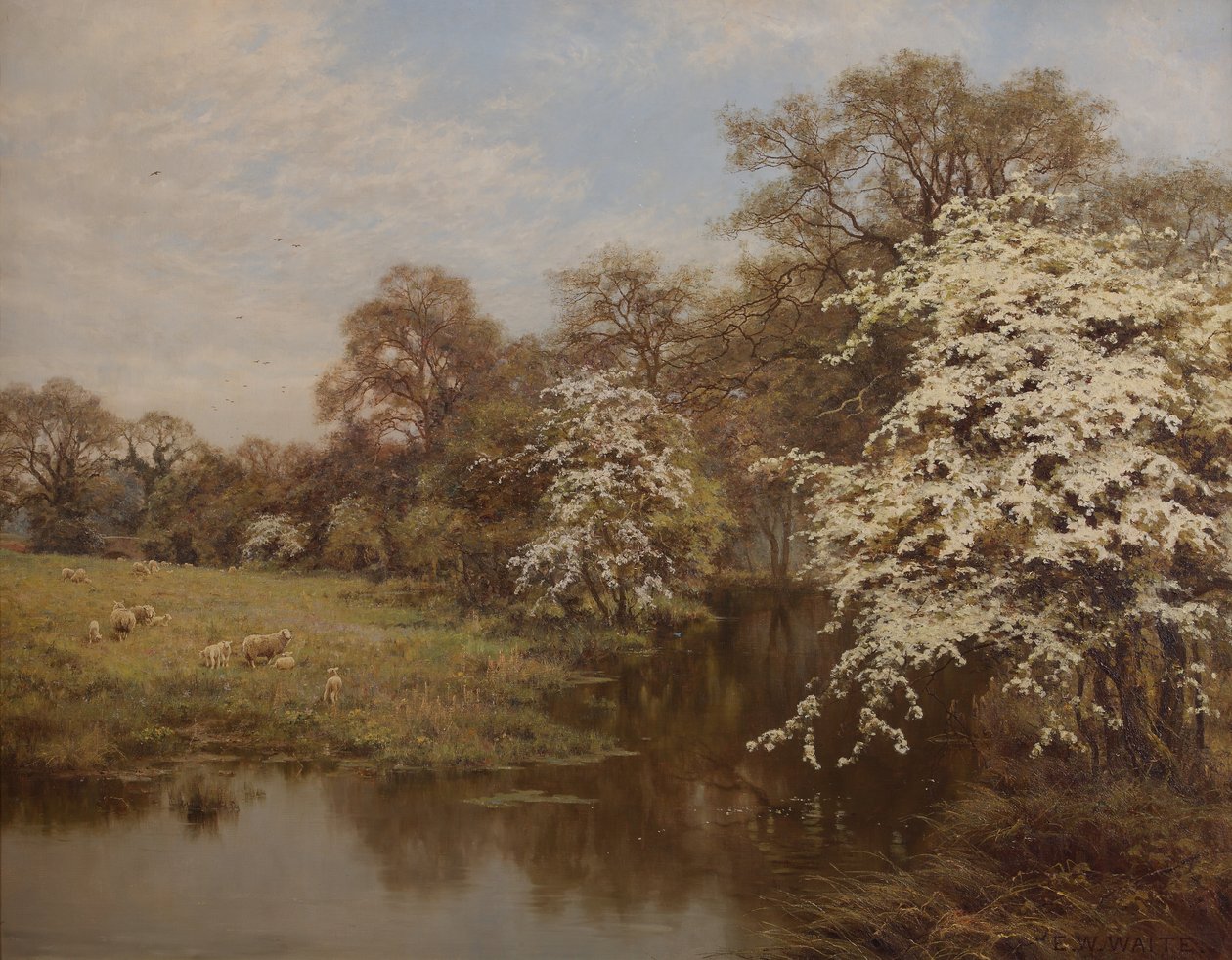 Flor de espinheiro de Edward Wilkins Waite