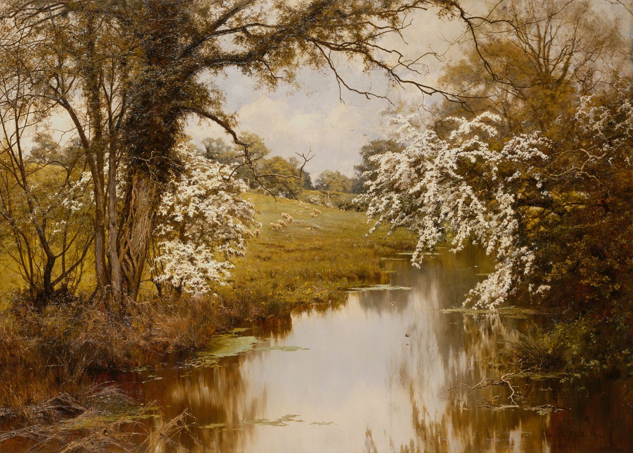 Where Spreading Hawthorns Gaily Bloom (óleo sobre tela) de Edward Wilkins Waite