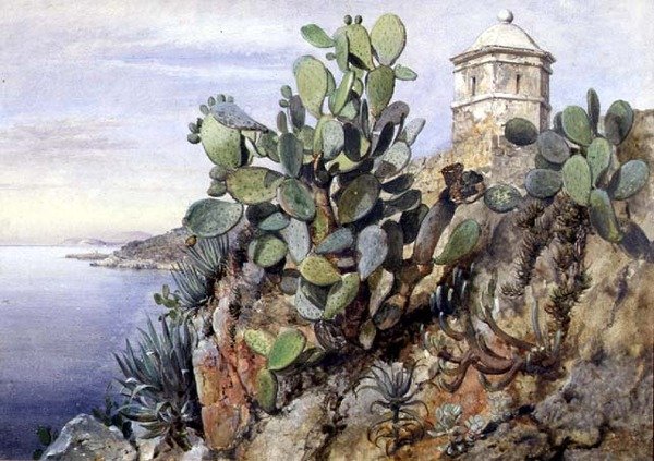 Cactus Opuntia, Mónaco de Edward William Cooke