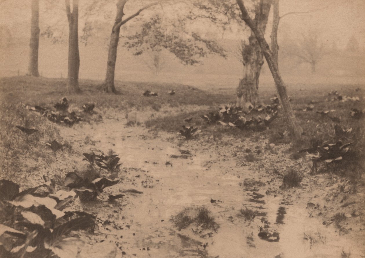 Paisagem de primavera, década de 1890 (foto) de Edward Willis Redfield