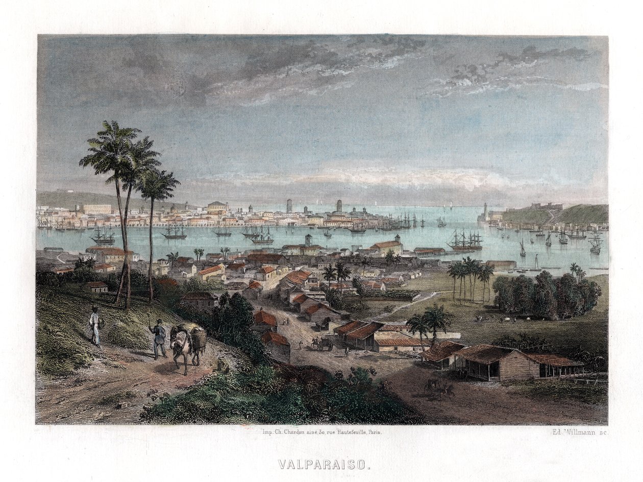 Floresta. de Edward Willmann