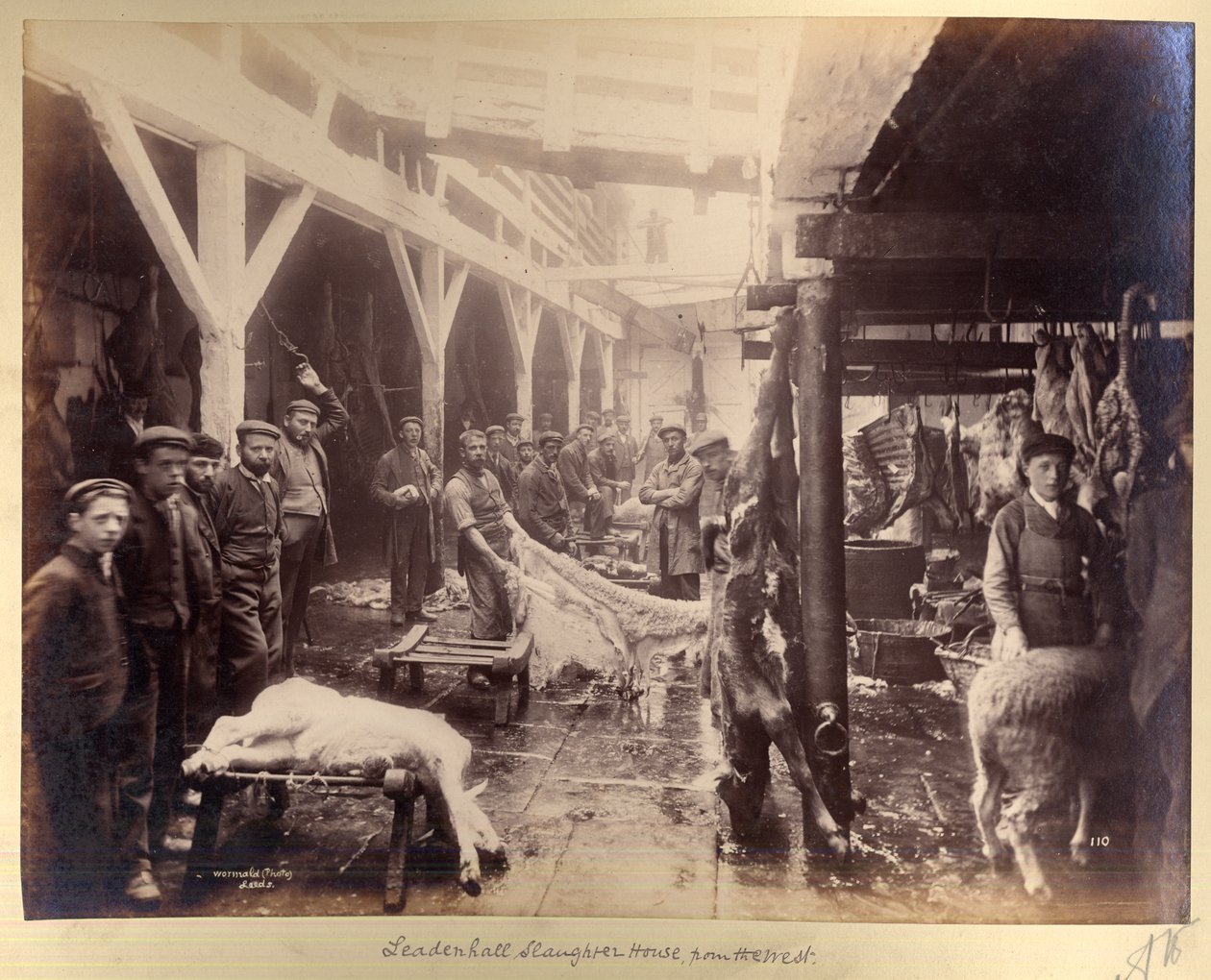Matadouro de Leadenhall, do Oeste de Edward Wormald