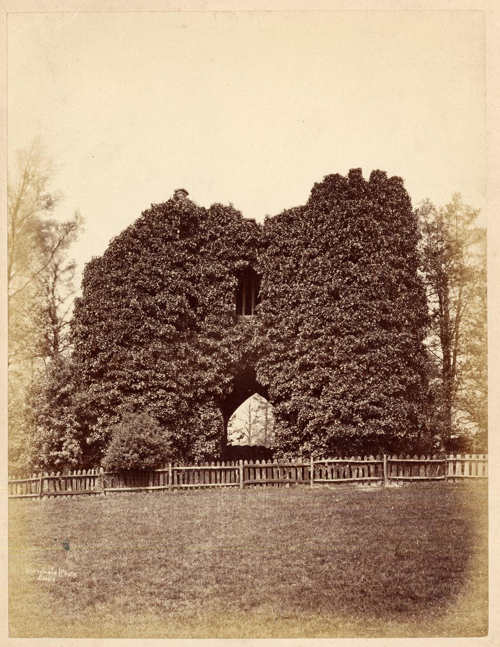 Vista de uma loucura em Roundhay Park (impressão de albume) de Edward Wormald