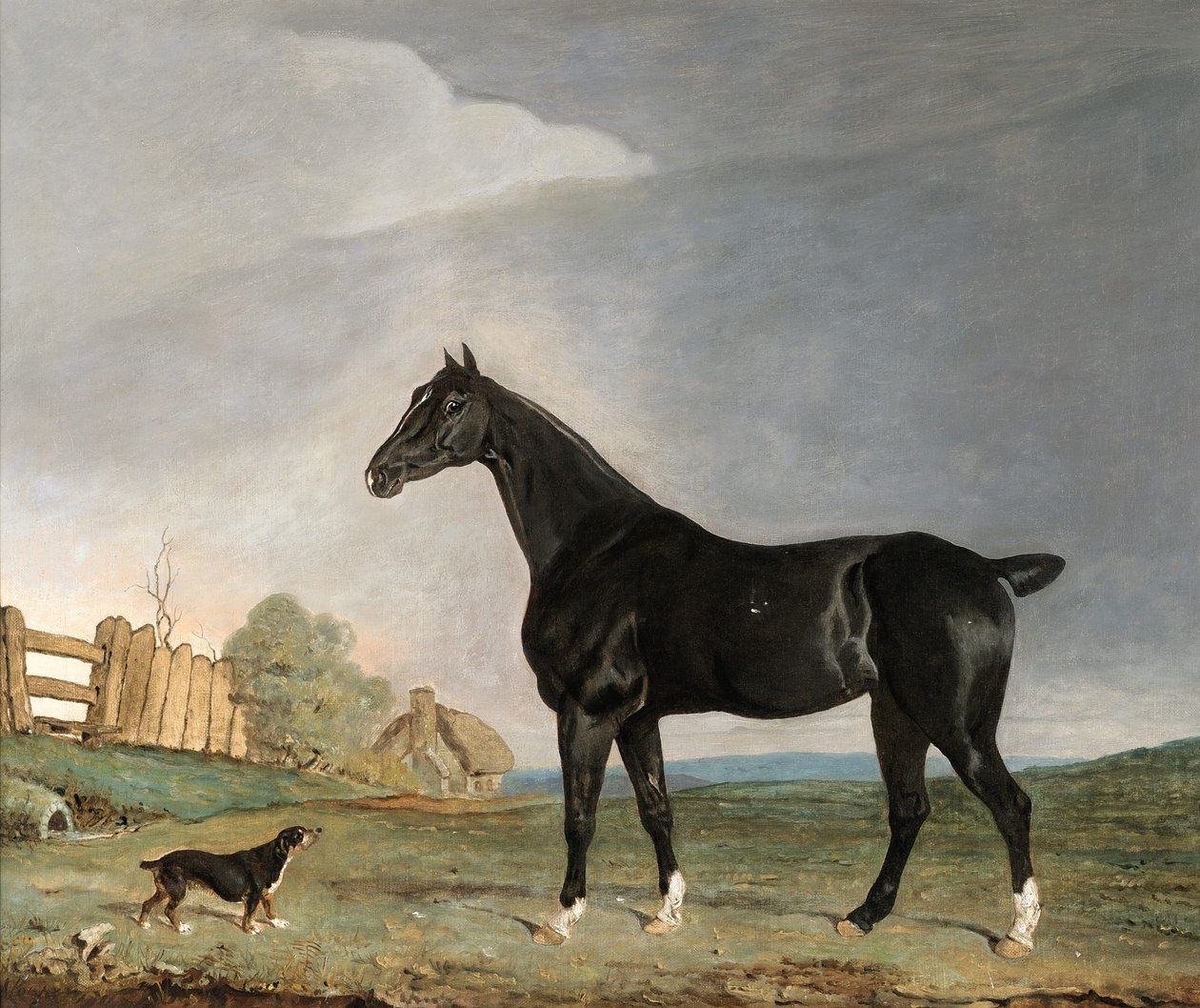 Um cavalo baio escuro e um terrier em uma paisagem de Edwin W. Cooper