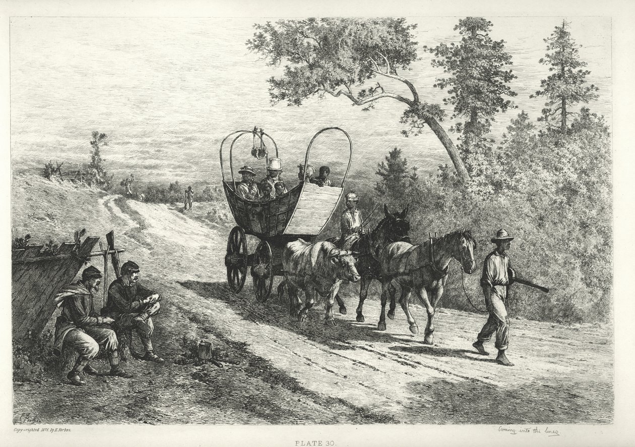 Impressão de uma carruagem sendo puxada por um boi, mula e cavalo de Edwin Austin Forbes