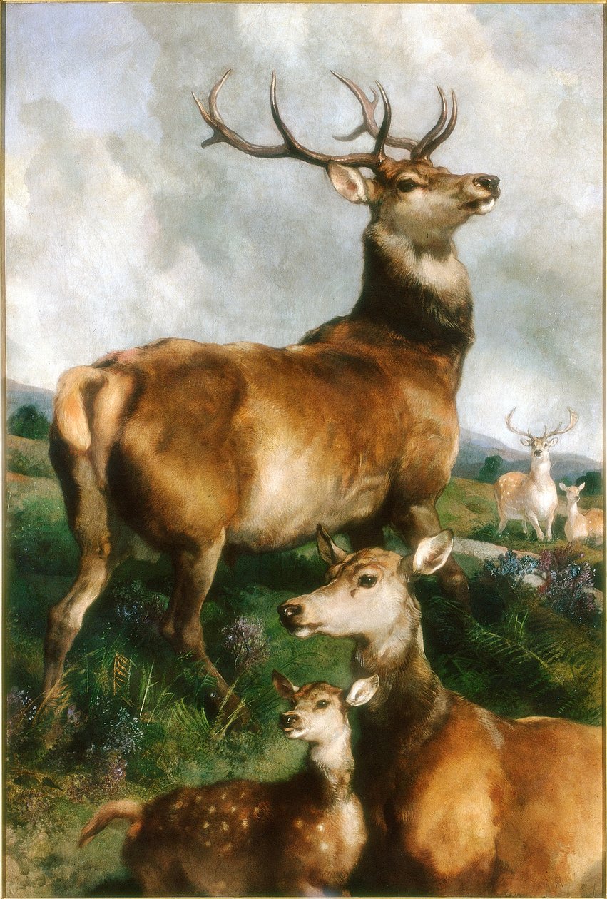 Veados de Chillingham Park, Northumberland, c. de Edwin Landseer