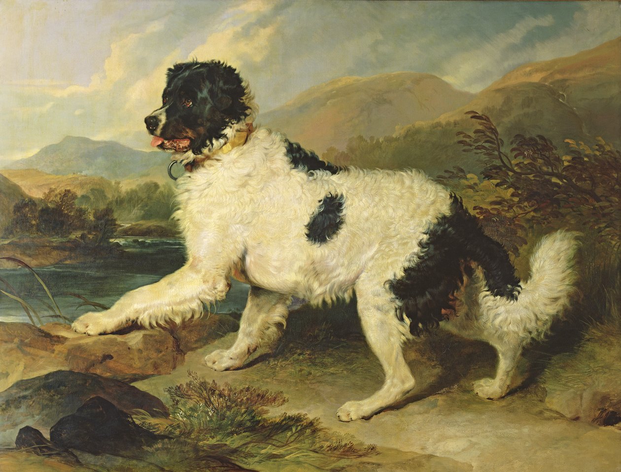 Cão de Terra Nova chamado leão, 1824 de Edwin Landseer