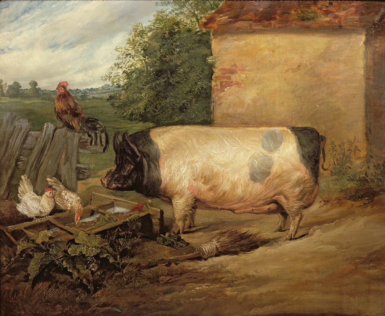 Retrato de um porco prêmio, propriedade de Squire Weston de Essex, 1810 de Edwin Landseer