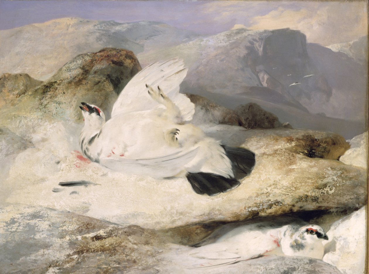 Lagópode dos Alpes de Edwin Landseer