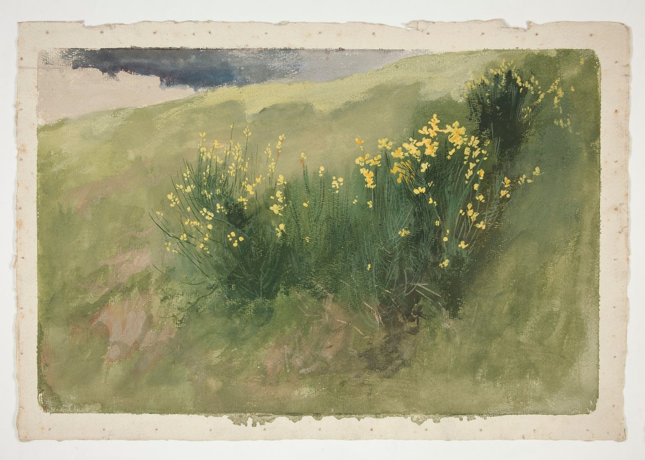 paisagem com flores silvestres de Edwin Austin Abbey