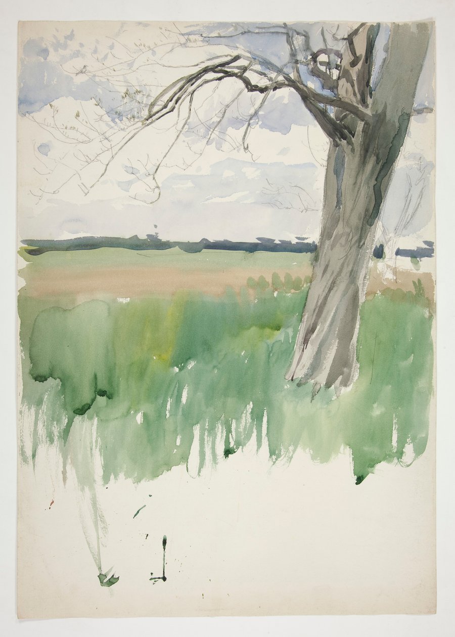 Estudo de um campo e de uma árvore de Edwin Austin Abbey