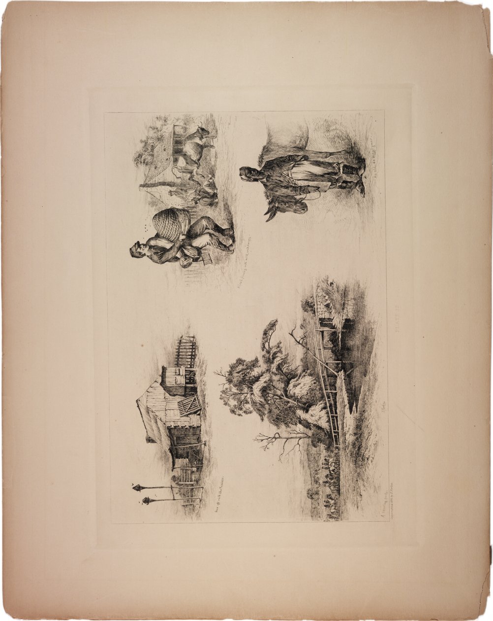 Foi-se embora com os ianques de Edwin Austin Forbes